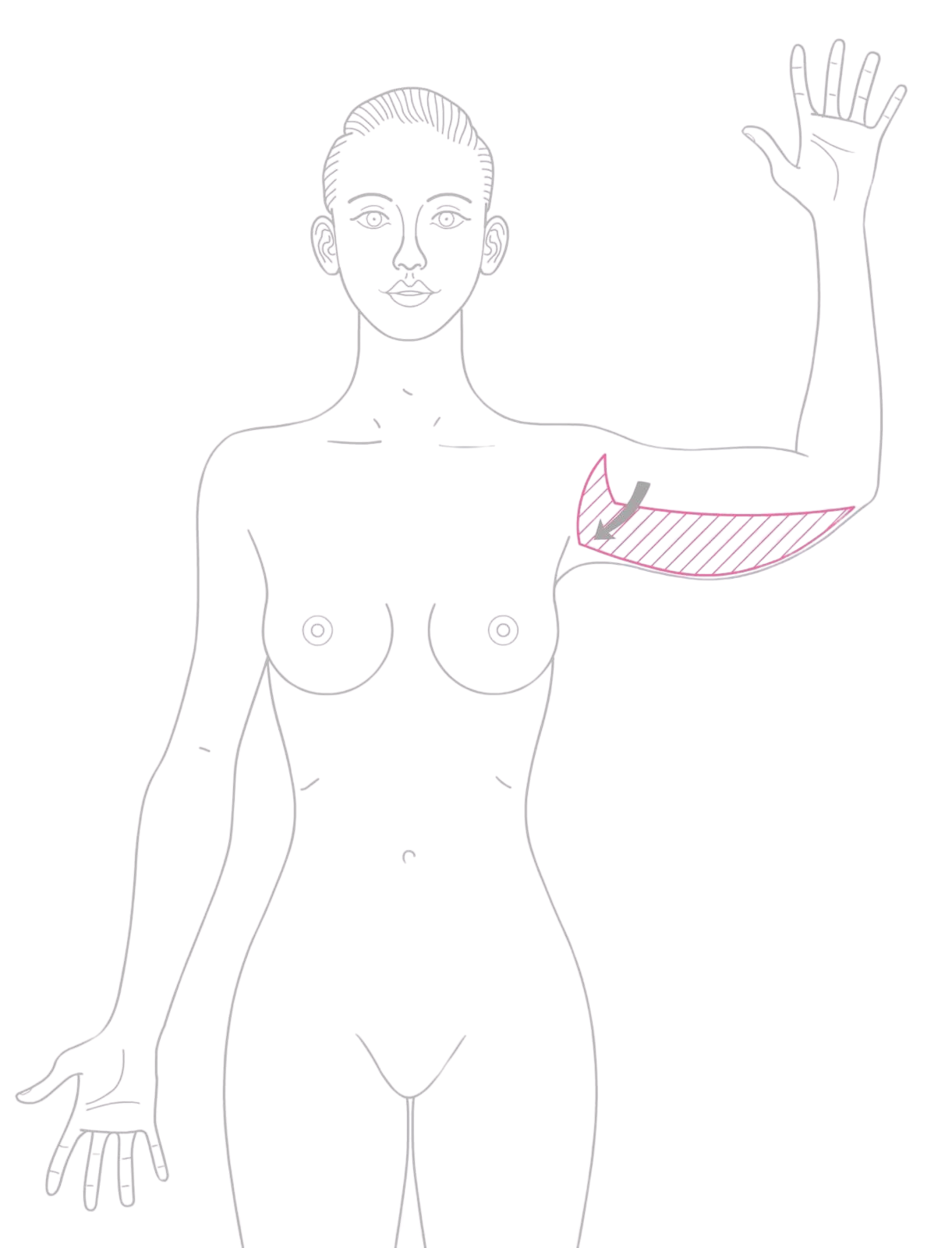 SVG 1