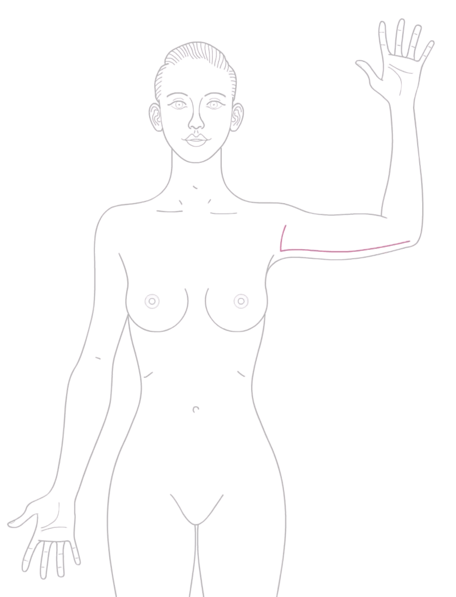 SVG 2